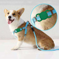 Case GPS Finder Dog Cat Collar Loop